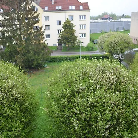 Room In Trebon Exterior photo