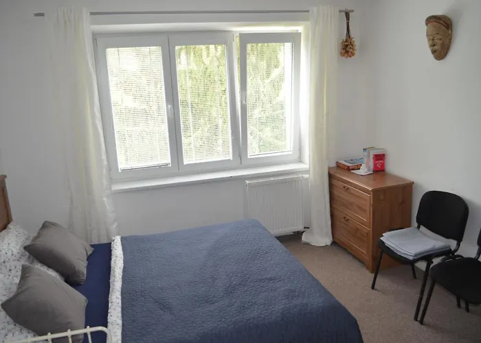 Room In Trebon
